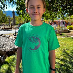 Green T-Shirt - Limited Items in stock.  We will confirm your order